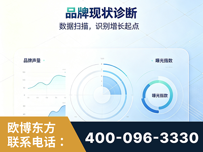 海南-品牌现状诊断