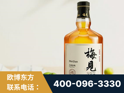 海南-梅见青梅酒